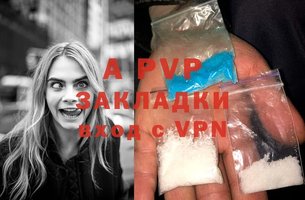 a pvp Каменка
