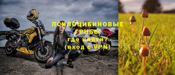 спайс Алексин