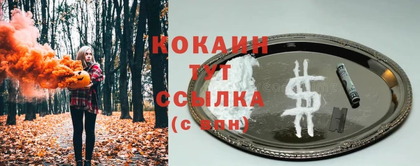 спайс Алексин