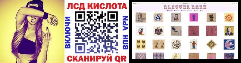 где купить наркотик  Шуя  даркнет клад  Наркотические марки 1,8мг 