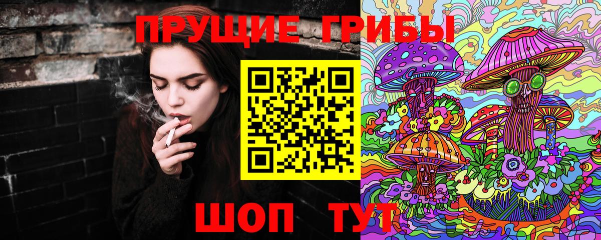 Псилоцибиновые грибы GOLDEN TEACHER Шуя