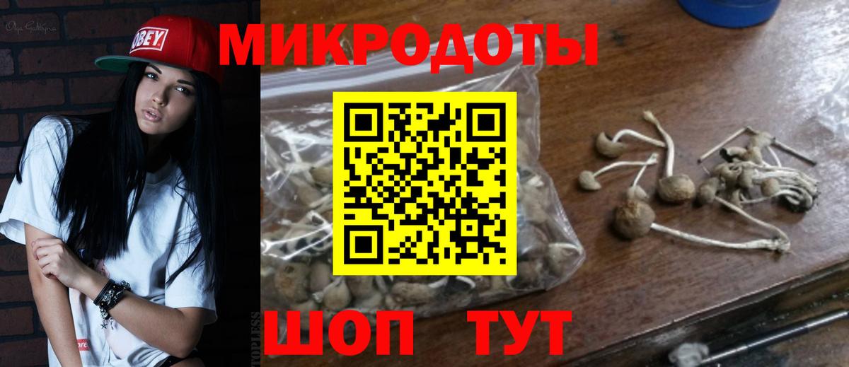 Шуя  Галлюциногенные грибы Cubensis  Вход с VPN 